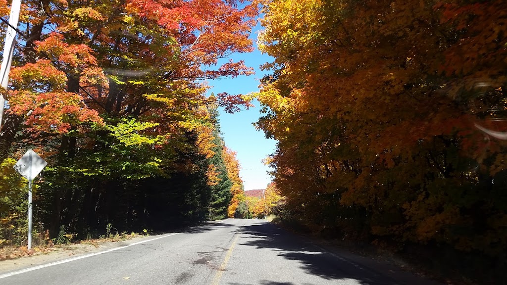 Construction Georges Desrocher | 2 Chemin de la Croix, Saint-Donat-de-Montcalm, QC J0T 2C0, Canada | Phone: (819) 424-3259