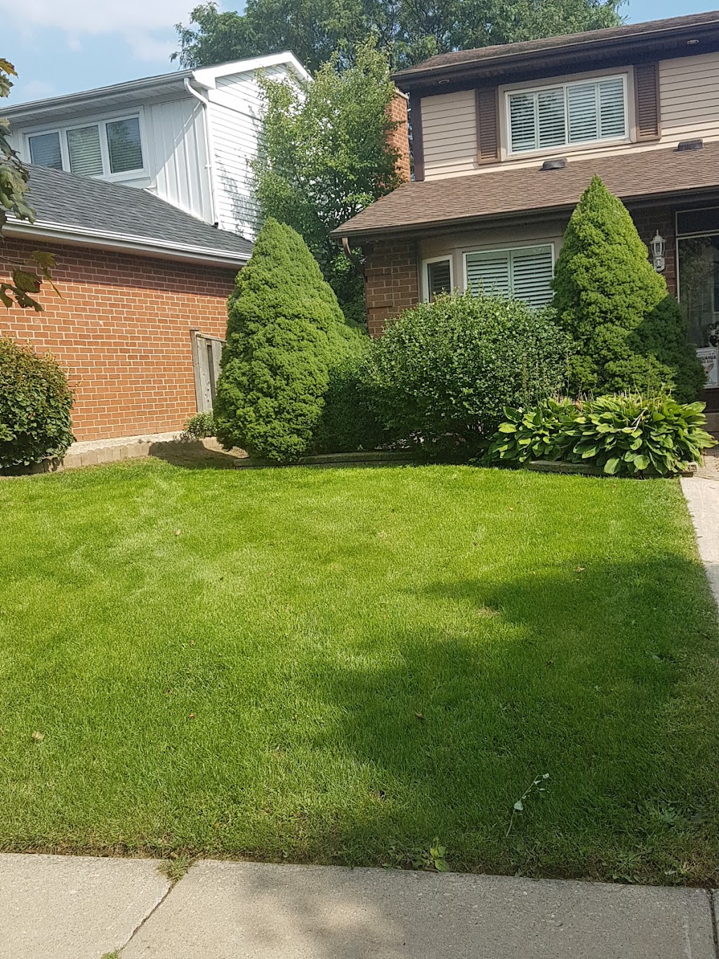 Down2Earth Home Garden Landscaping and Property Management | 43 Widgeon St, Barrie, ON L4N 8W5, Canada | Phone: (416) 457-5317