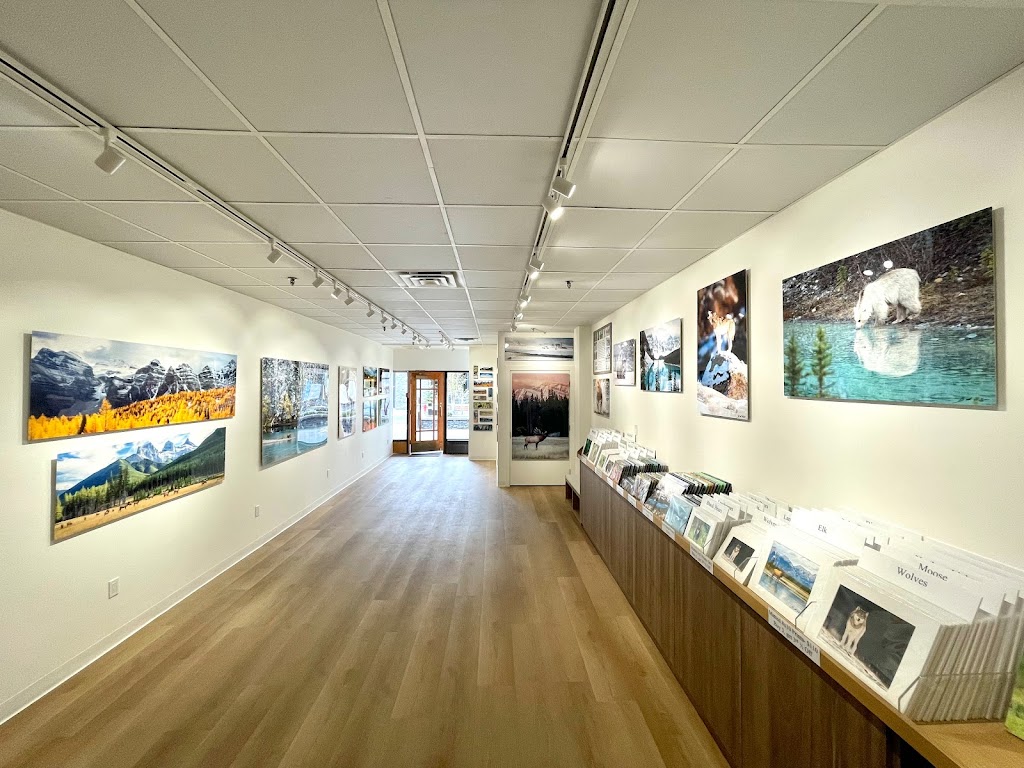 BearHead Photography Gallery-Banff | 201 Lynx St, Banff, AB T1L 1K5, Canada | Phone: (403) 493-9611