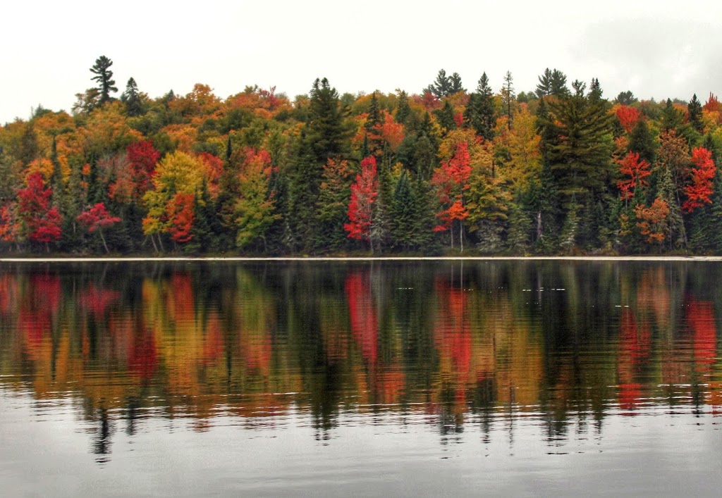 Muskoka Waterbikes | 1117 Stone Gate Ln, Bracebridge, ON P1L 1X1, Canada | Phone: (888) 973-6892