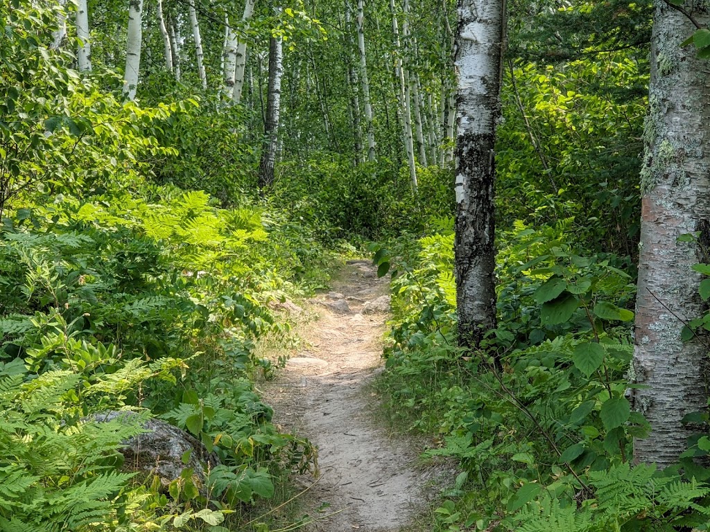 Cabin Lake Hiking Trail | Unnamed Rd, Manitoba R0E 1R0, Canada | Phone: (204) 369-3157