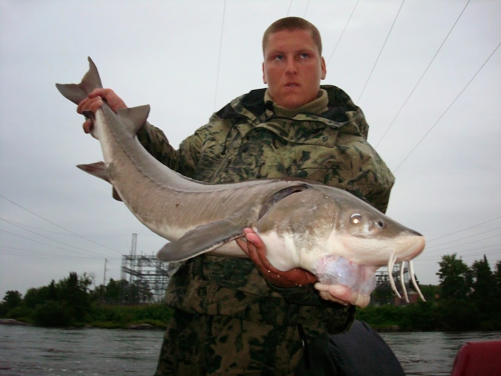 Whiskers & Walleye with Bass | 6940 Henderson Hwy, Lockport, MB R1B 1A5, Canada | Phone: (204) 990-2171