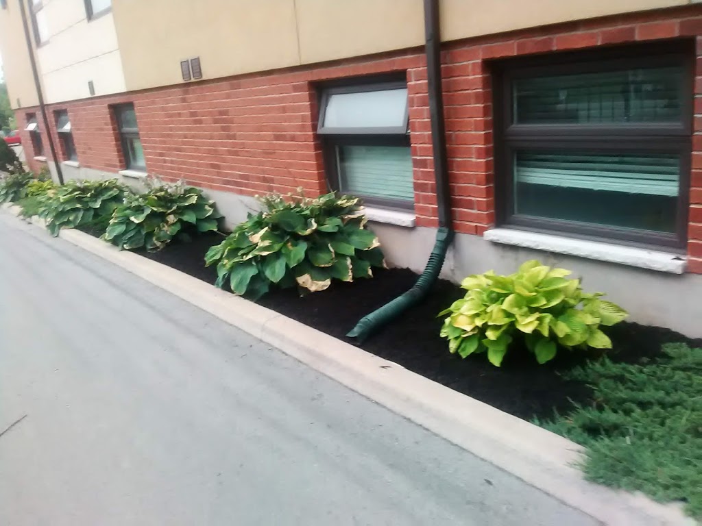 Ready Lawncare & Landscaping | 5 Louis Ave, St. Catharines, ON L2M 6R3, Canada | Phone: (289) 501-7464