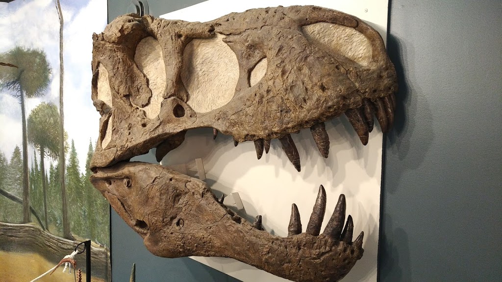 Canadian Fossil Discovery Centre | 111 Gilmour St B, Morden, MB R6M 1N9, Canada | Phone: (204) 822-3406