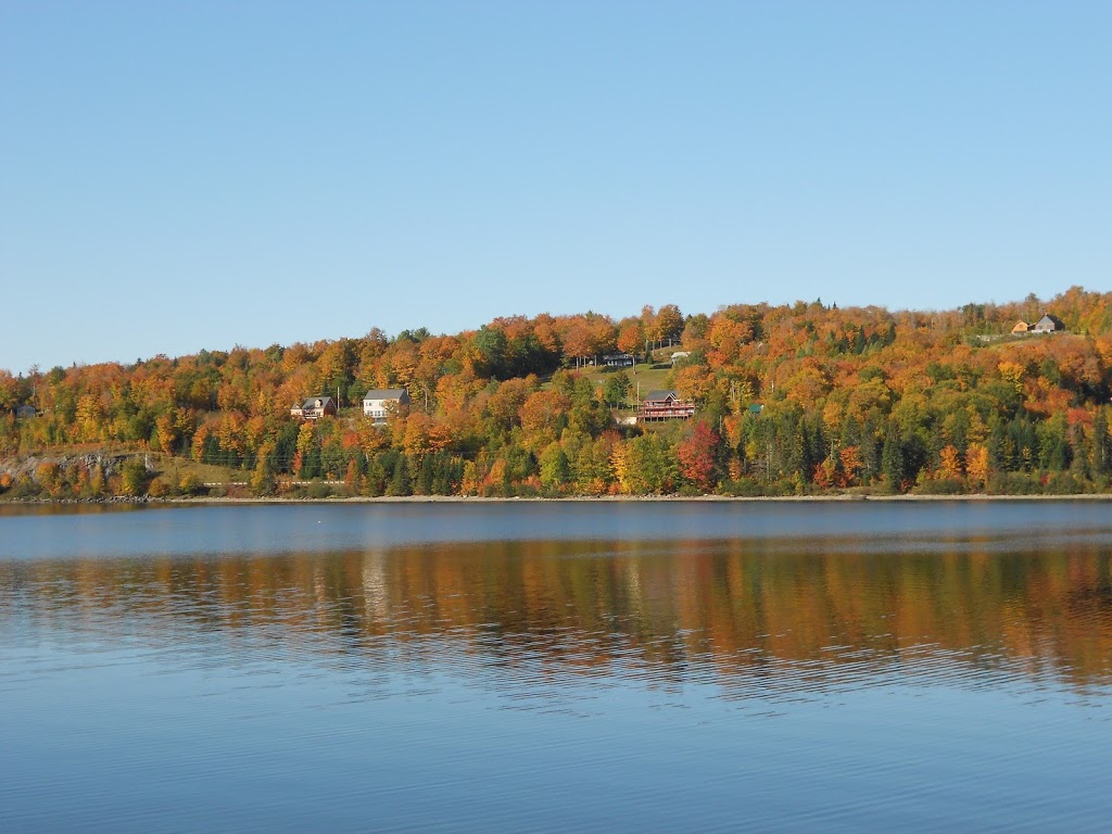 Loon Cove Lodge | 132 Maple Mountain Rd, Pittsburg, NH 03592, USA | Phone: (603) 538-9831