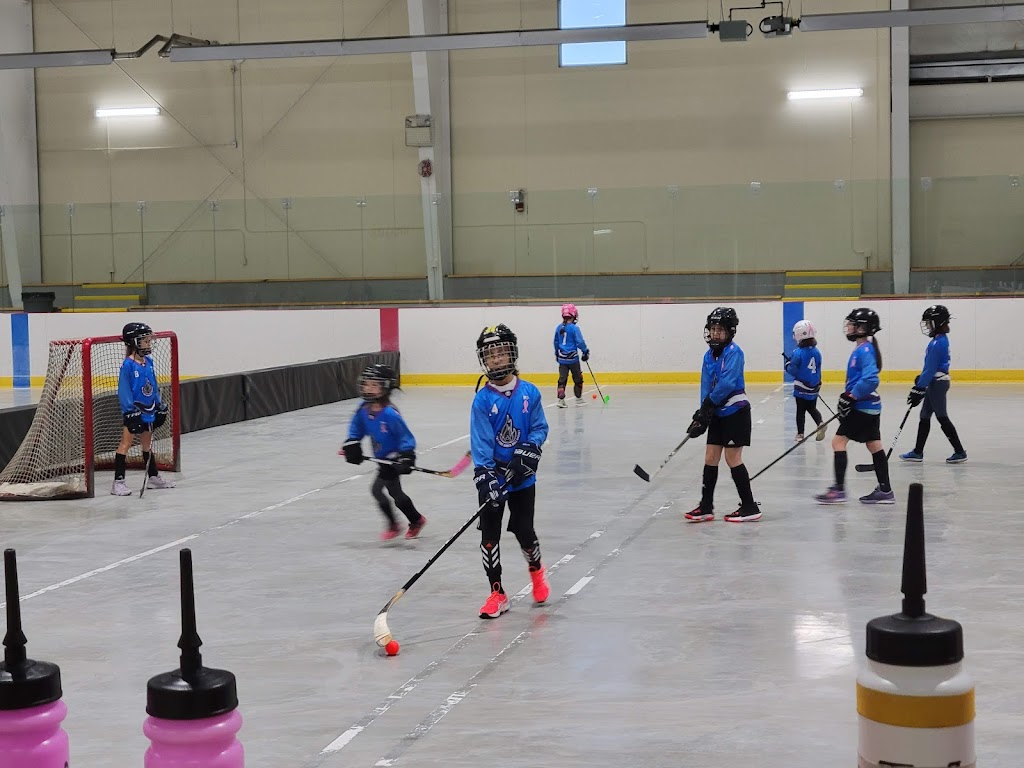 Girls Ball Hockey | 465 Cannifton Rd N, Corbyville, ON K0K 1V0, Canada | Phone: (905) 706-1519