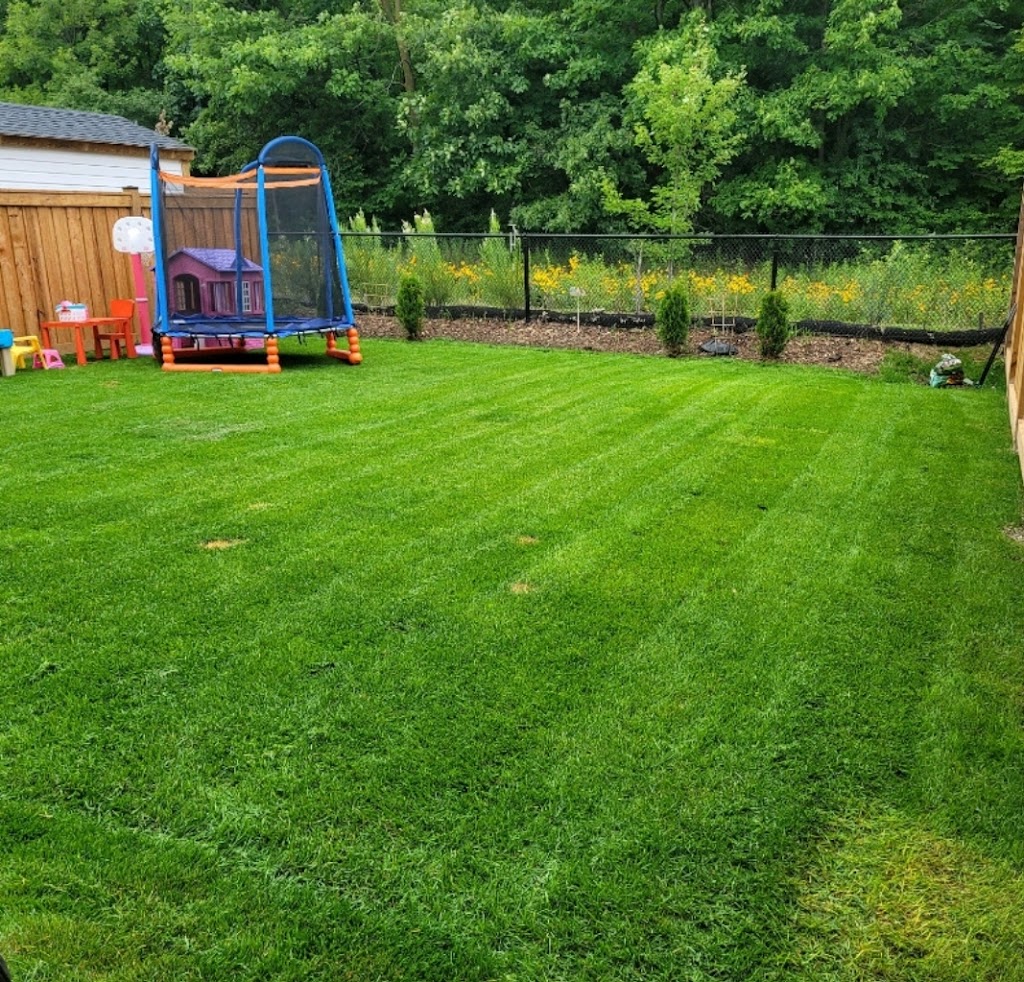 Lawn Time | 129 Beland Ave S, Hamilton, ON L8K 3T5, Canada | Phone: (416) 837-0650