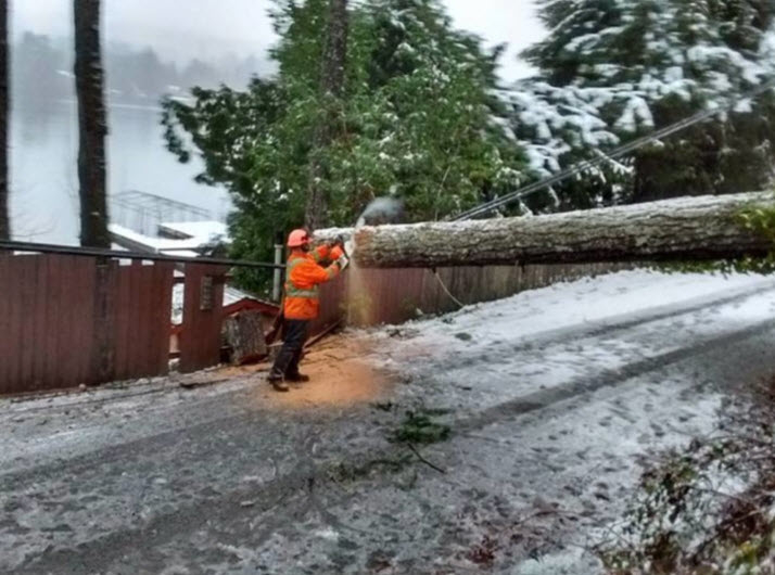 Libra Tree Services Ltd | 4945 Waters Rd, Duncan, BC V9L 6S9, Canada | Phone: (250) 748-4449