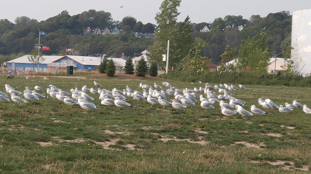 Port Stanley Beach | Lake Erie, Port Stanley, ON, Canada