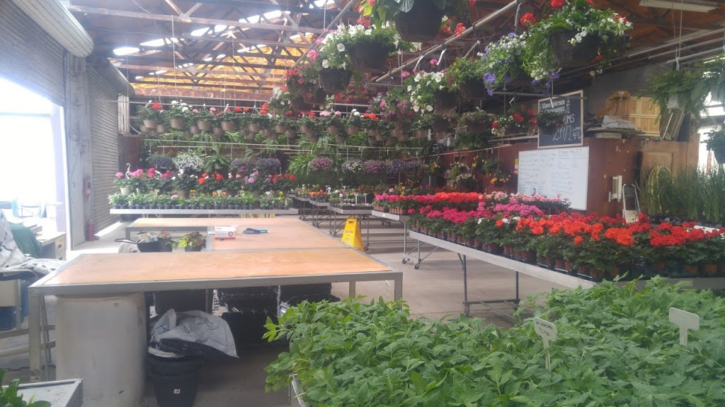 Vanderweydens Garden Centre | 8676 Beaverdams Rd, Niagara Falls, ON L2H 3K8, Canada | Phone: (905) 321-7024