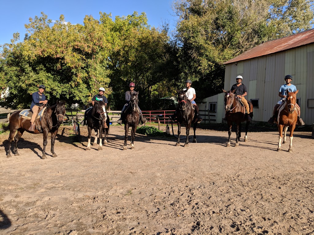 Niagara Riding Stables | 471 Warner Rd, Niagara-on-the-Lake, ON L0S 1J0, Canada | Phone: (905) 262-5101