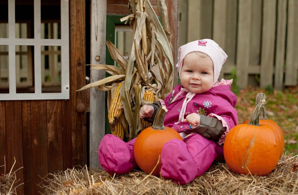 Helene Ready Photographe | 3265 Boulevard Saint-Jean, Trois-Rivières, QC G9B 2M6, Canada | Phone: (819) 995-2746