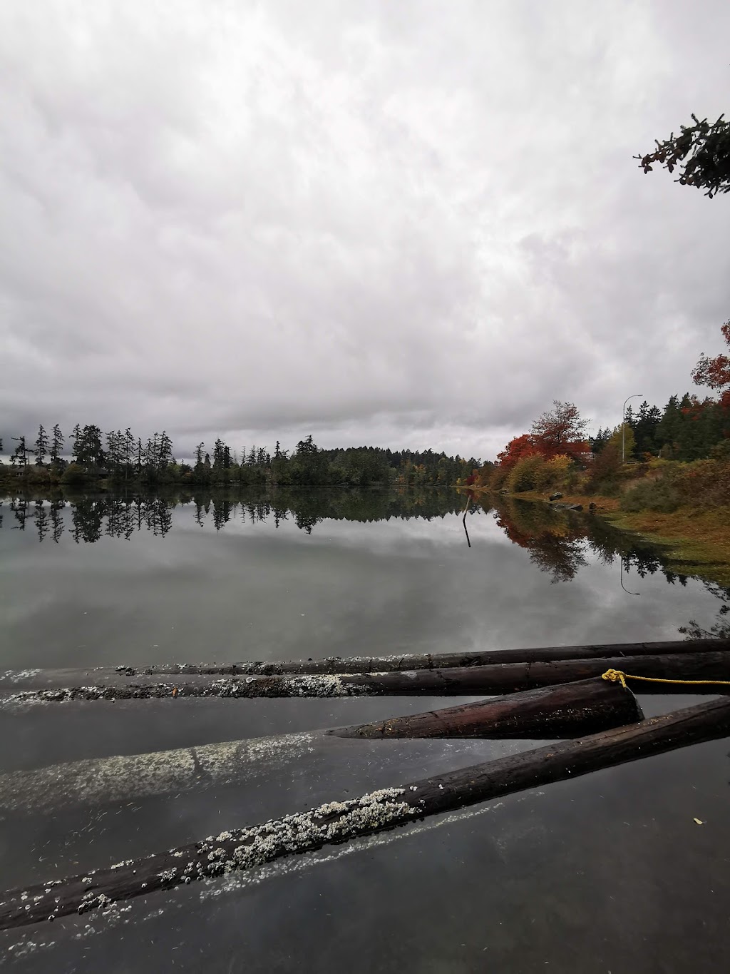 Cedar Grove Marina & Custom Yacht Sales | 1955 Swartz Bay Rd, North Saanich, BC V8L 3X9, Canada | Phone: (250) 656-8771