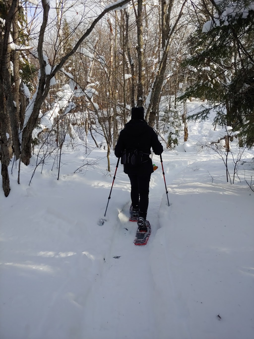 Club de ski de fond de labelle | Chemin de la Mine, Labelle, QC J0T 1H0, Canada | Phone: (819) 686-2008