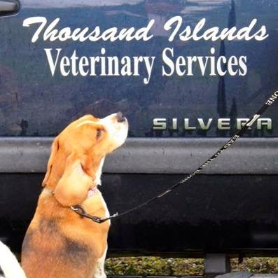 Thousand Islands Veterinary Services | 839 Stone St N, Gananoque, ON K7G 1Z7, Canada | Phone: (613) 382-2900