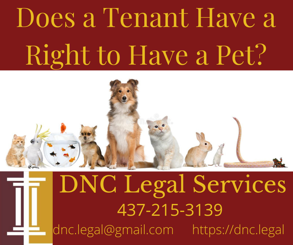 DNC Legal Services | Kings Point Plaza, Brampton, ON L6V 4J7, Canada | Phone: (437) 215-3139