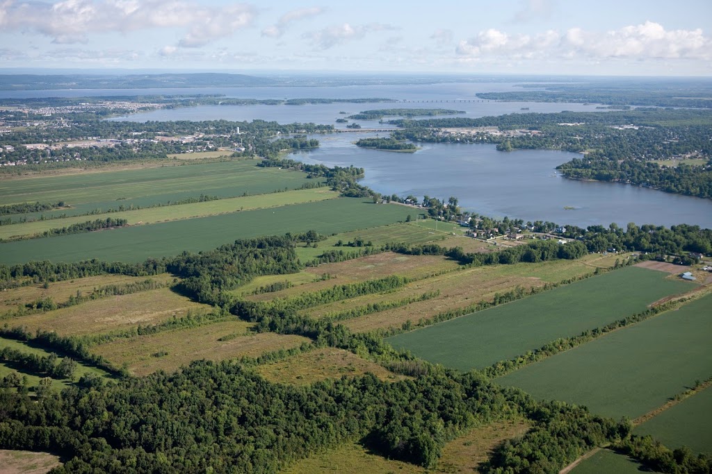 Ferme du Domaine Quinchien | 552 Route de Lotbinière, Vaudreuil-Dorion, QC J7V 0H4, Canada | Phone: (438) 837-9808