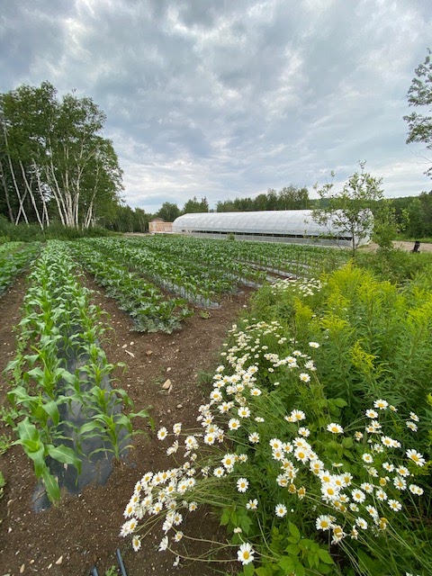 Domaine de la roche à lépervière | 602 Chem. du Cap à lEst, Sainte-Rose-du-Nord, QC G0V 1T0, Canada | Phone: (418) 675-2639