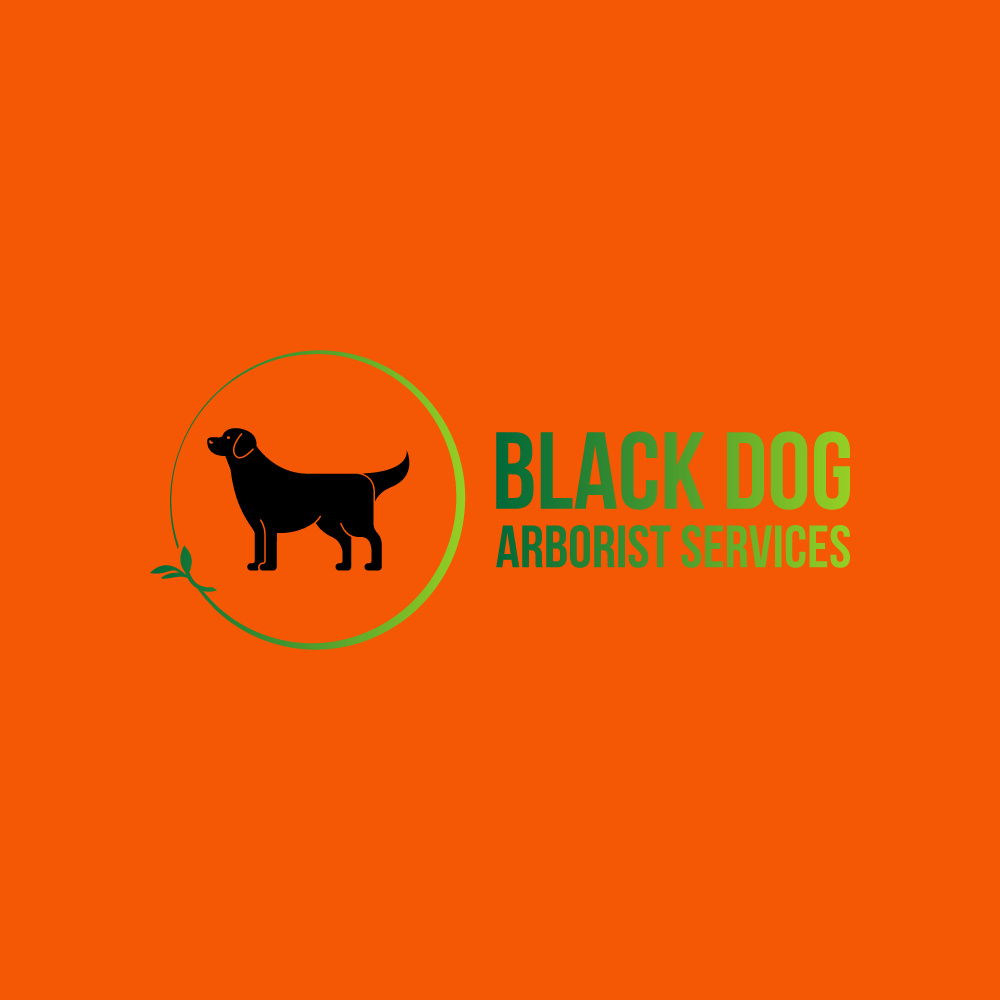 Black Dog Arborist Services | 2567 County Rd 36, Buckhorn, ON K0L 1J0, Canada | Phone: (705) 768-7348