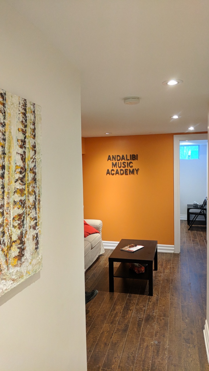 Andalibi Music Academy | 283 Taylor Mills Dr N, Richmond Hill, ON L4C 2T8, Canada | Phone: (437) 998-9999