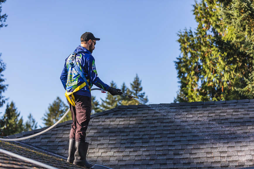 New Again Cleaning and Maintenance | 12156 96 Ave, Surrey, BC V3V 1W4, Canada | Phone: (604) 999-4502