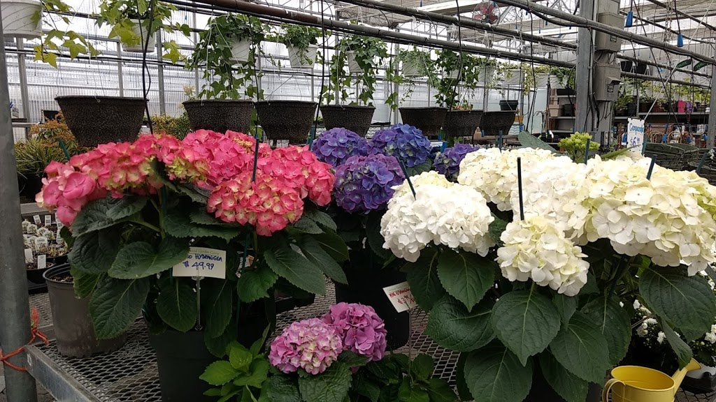 Greenwood Garden Centre | 6745 Kingston Rd, Scarborough, ON M1B 1G9, Canada | Phone: (416) 282-2666