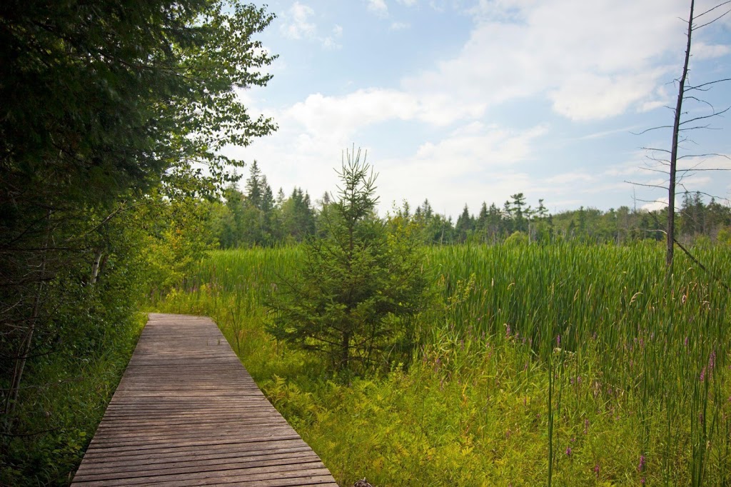 Stoney Swamp | Shirleys Bay, Ottawa, ON K2H 6H1, Canada | Phone: (613) 239-5000