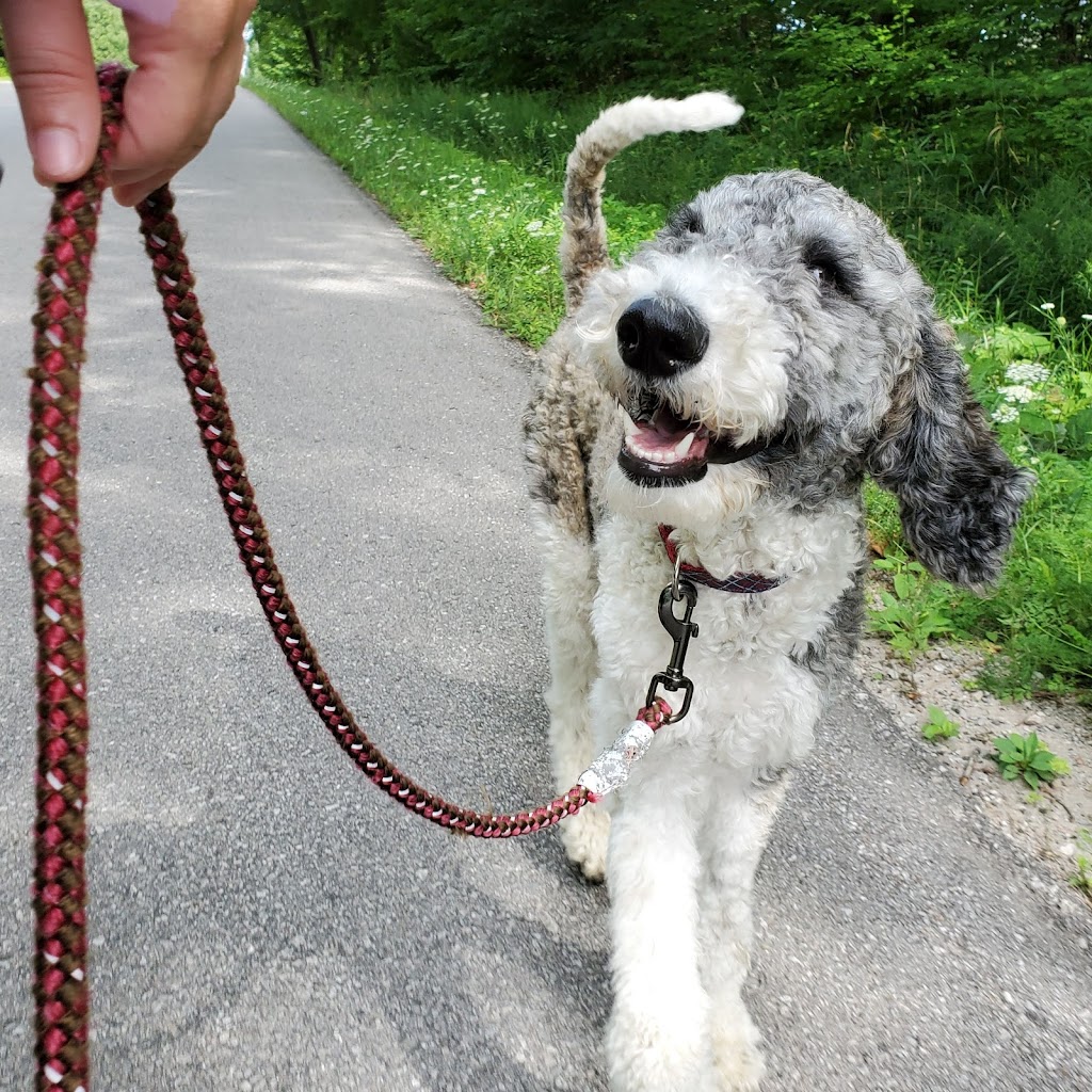 Brees Dog Walking & Sitting Services | Memorial Ave, Orillia, ON L3V 5X3, Canada | Phone: (705) 828-4682