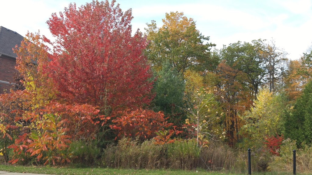 Moraine Park | 4K7, Oak Ridges Trail, Richmond Hill, ON L4E 4K7, Canada