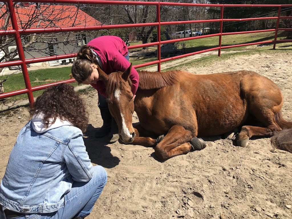 The Valley Hitching Post Ranch Inc. | 149 Brouse Rd, Deep River, ON K0J 1P0, Canada | Phone: (613) 584-4005