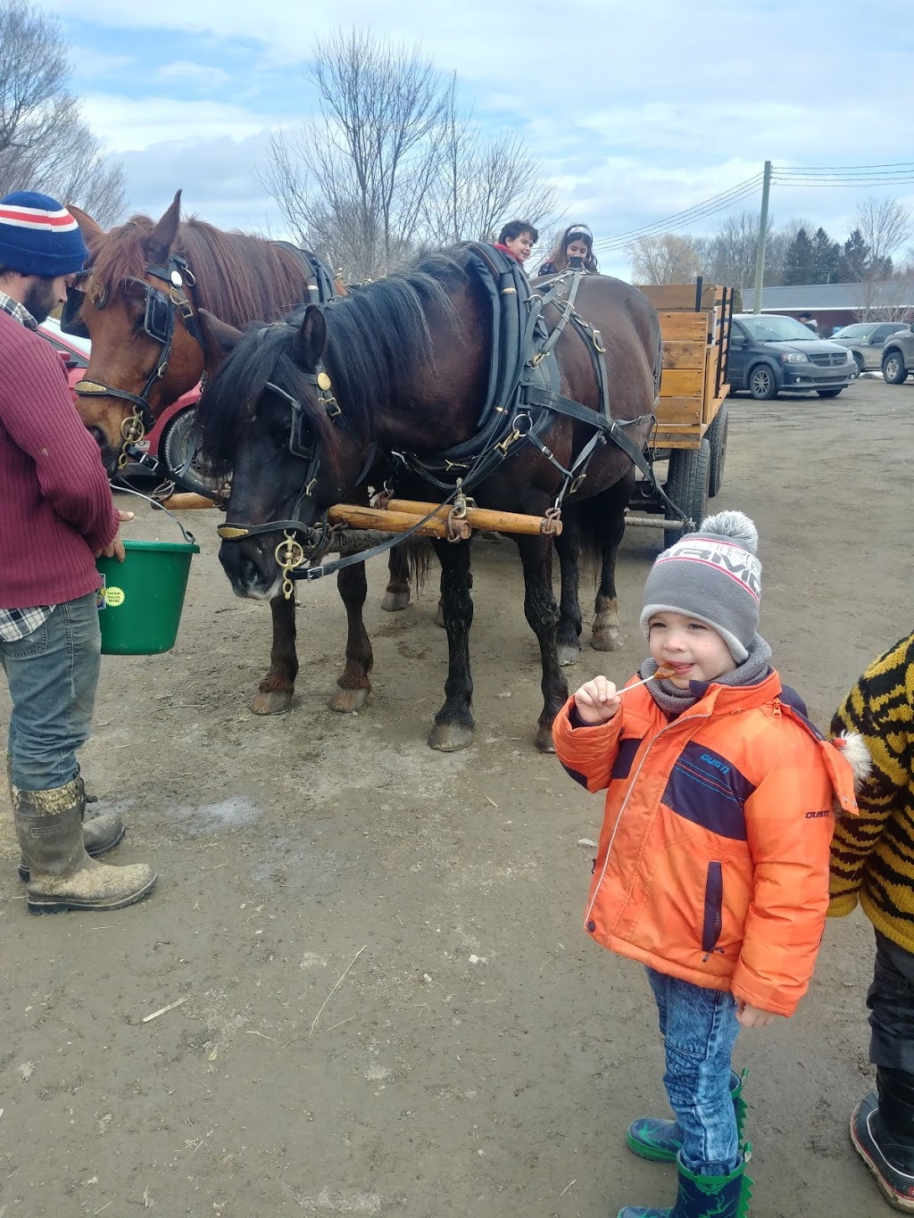 Cabane à sucre Charlebois | 309 Route du Canton, Brownsburg, QC J8G 1R5, Canada | Phone: (450) 562-0478