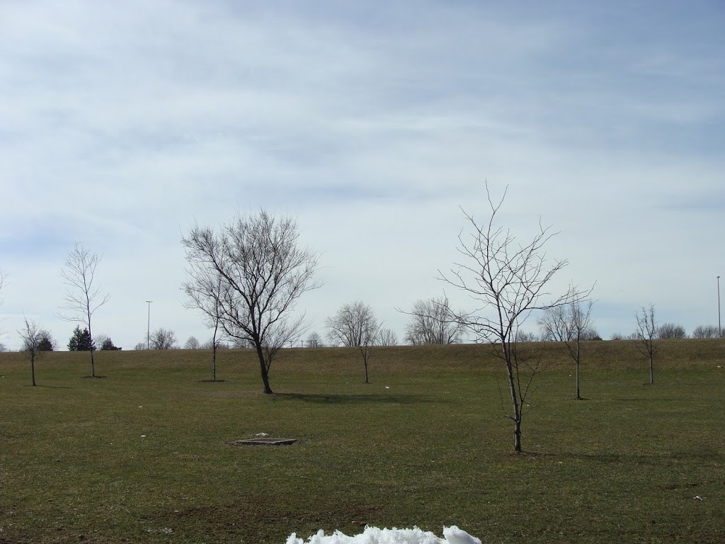 LaSalle Park Picnic Shelters | Buffalo, NY 14202, USA