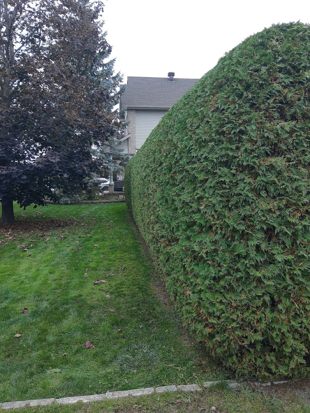 Precision Hedge and Landscaping | 1473 Bourcier Dr, Orléans, ON K1E 3K1, Canada | Phone: (613) 859-7828