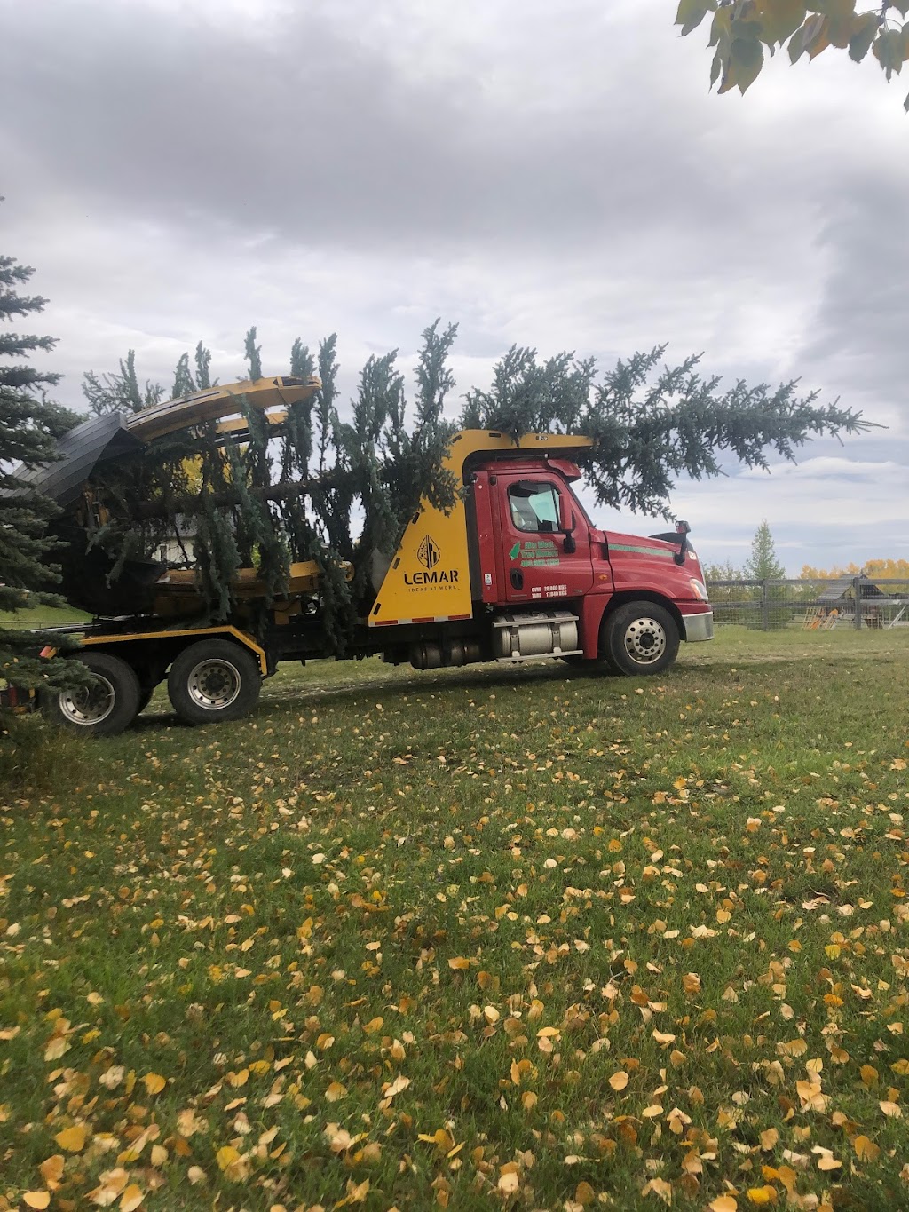 Alta West Tree Movers | RR 1 Stn Main, Okotoks, AB T1S 1A1, Canada | Phone: (403) 860-1133