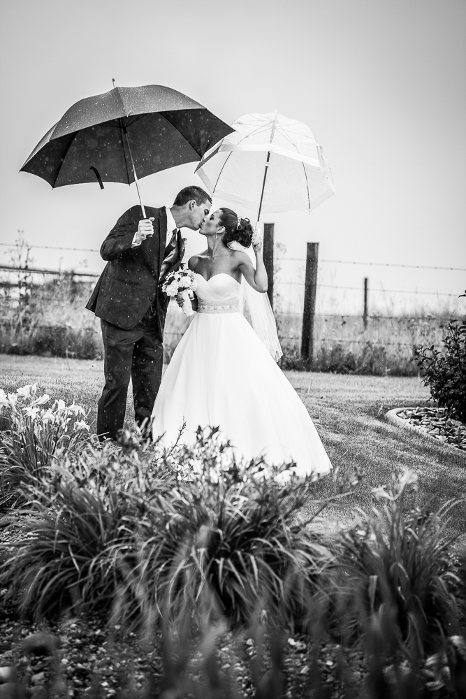 Tim Lee Photography | 12505 Bonaventure Dr SE #106, Calgary, AB T2J 3S7, Canada | Phone: (403) 271-9440