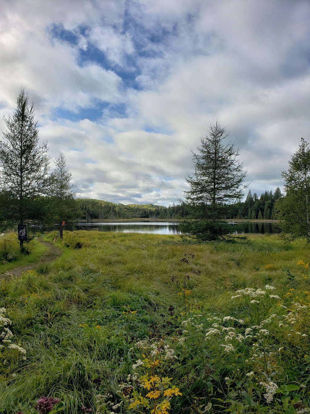 Chenil Summum Kennel | Montée du Curé Labelle, Mont-Tremblant, QC J8E 2A3, Canada | Phone: (819) 681-7539