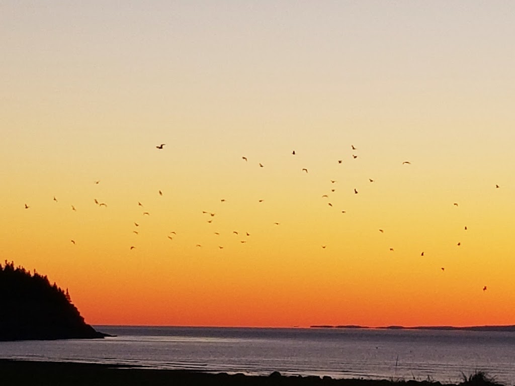 Authentic Bay of Fundy Vacation Homes | 15 Beach St, St. Martins, NB E5R 1C6, Canada | Phone: (506) 833-2333