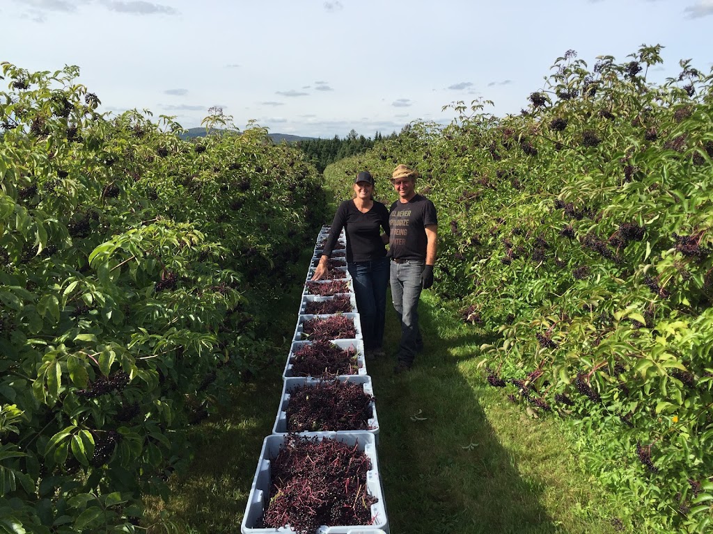 Au Versant du Sureau | 427 Chemin Sacré-Coeur E, Adstock, QC G0N 1S0, Canada | Phone: (418) 332-6131