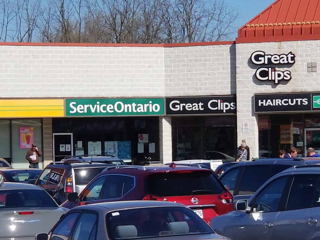 ServiceOntario | 1400 Upper James St Unit 11, Hamilton, ON L9B 1K3, Canada | Phone: (905) 385-3336