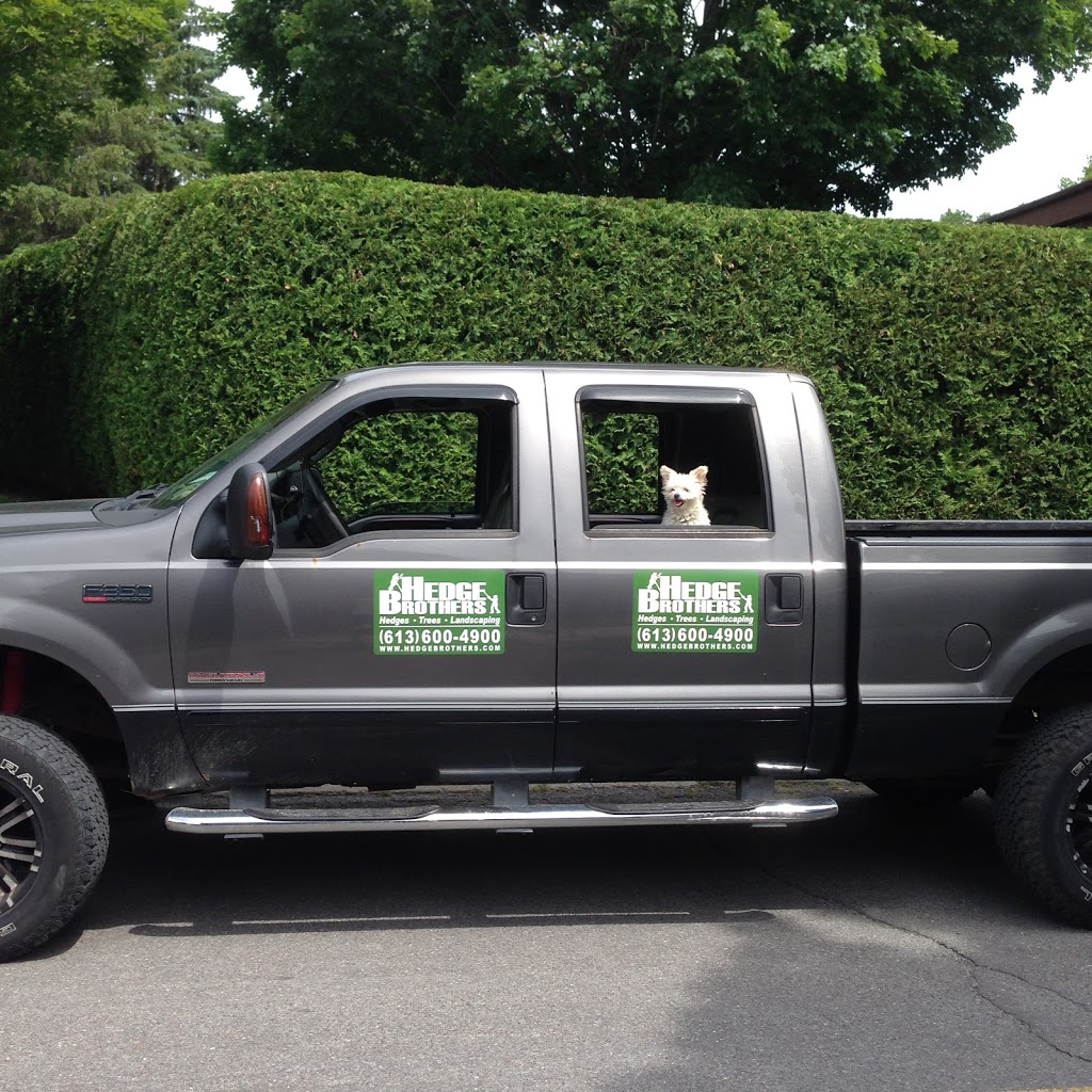 Hedge Brothers | 43 Longwood Ave, Nepean, ON K2H 6G4, Canada | Phone: (613) 600-4900