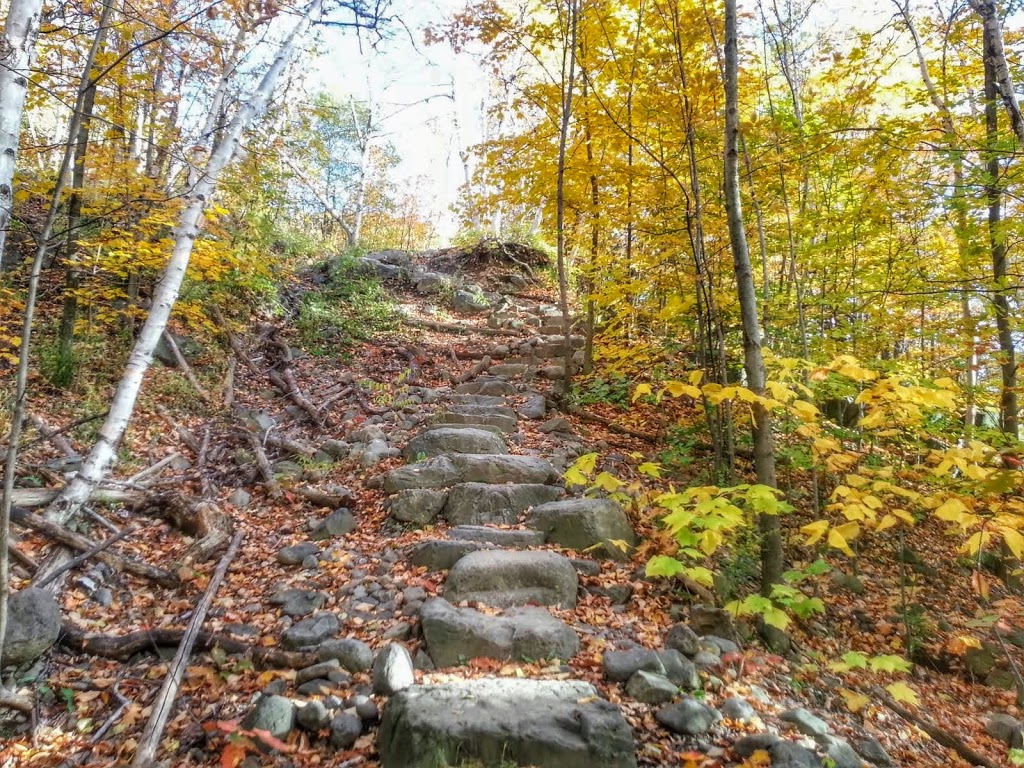 Gault Nature Reserve of McGill University | 422 Chemin des Moulins, Mont-Saint-Hilaire, QC J3G 4S6, Canada | Phone: (450) 467-4010