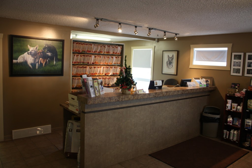 Airdrie Animal Clinic | 117 East Lake Crescent NE #101, Airdrie, AB T4A 2H6, Canada | Phone: (403) 948-3619