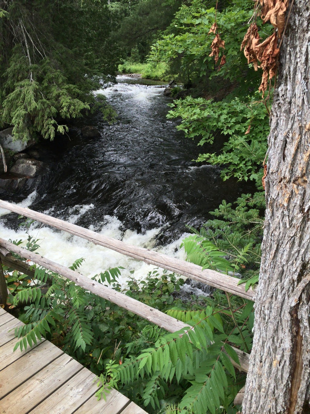 Marvel Rapids Golf Course | 8 Km North of Apsley Hwy 28, Apsley, ON K0L 1A0, Canada | Phone: (705) 656-4653