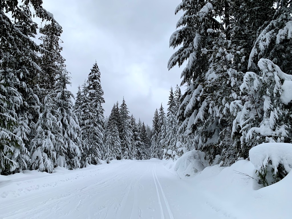 Revelstoke Nordic Ski Club | 2265 Hwy 23 South, Box 1618, Revelstoke, BC V0E 2S0, Canada | Phone: (250) 814-4264