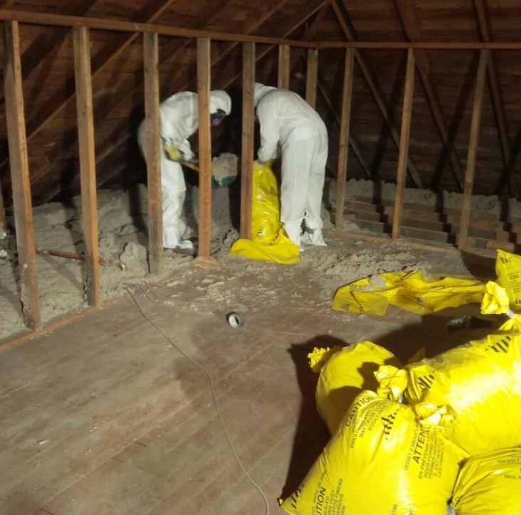 Canadas Restoration Services Asbestos Removal Mississauga | 1 Dove Hawk Way, North York, ON M2R 3M1, Canada | Phone: (416) 479-8606