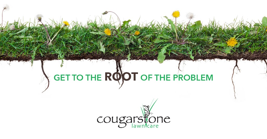 Cougarstone Lawn Care | 230 Cougarstone Cir SW, Calgary, AB T3H 4W4, Canada | Phone: (403) 324-5296