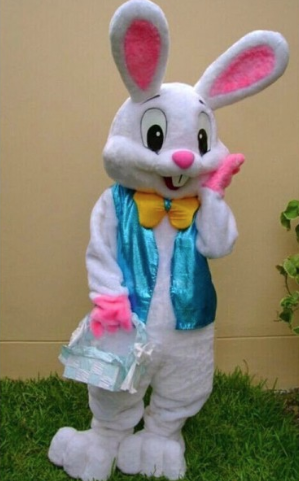 HIRE A EASTER BUNNY | 19133 73 Ave, Surrey, BC V4N 6S9, Canada | Phone: (604) 362-1001