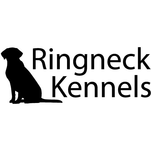 Ringneck Kennels | #245006 George Freeman Trail, Strathmore, AB T1P 1K5, Canada | Phone: (403) 934-2377