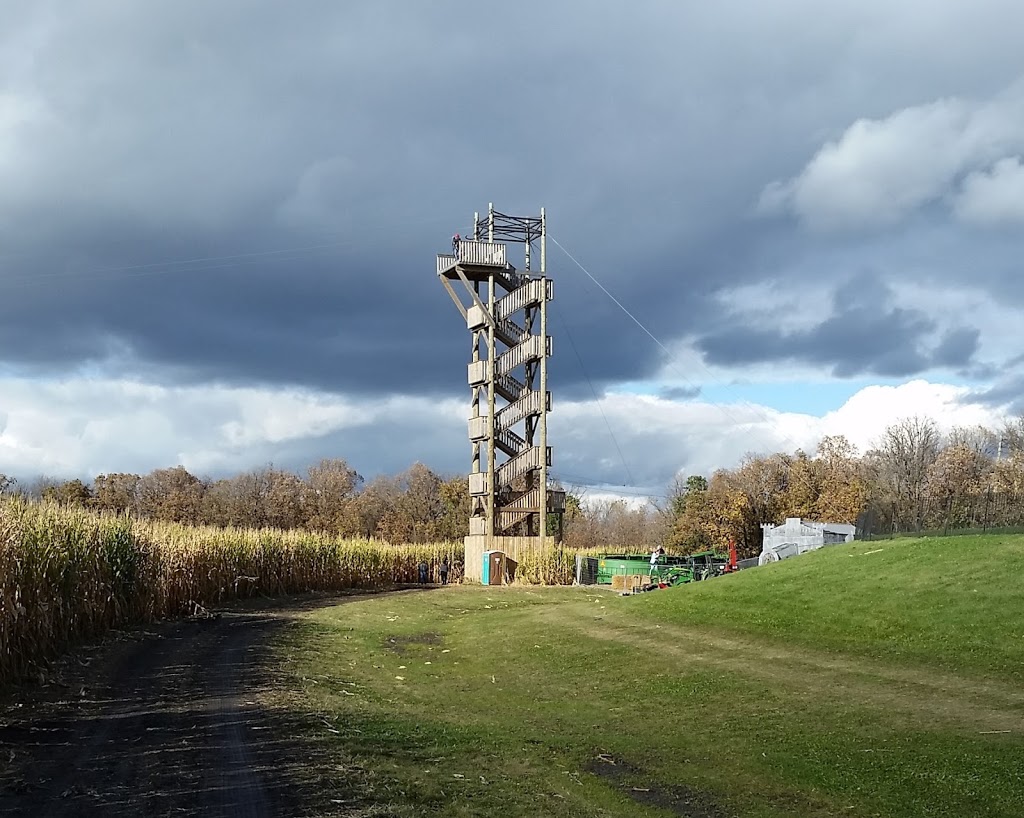 A Maze In Corn | 1351 MB-200, Saint Adolphe, MB R5A 1A2, Canada | Phone: (204) 883-2048