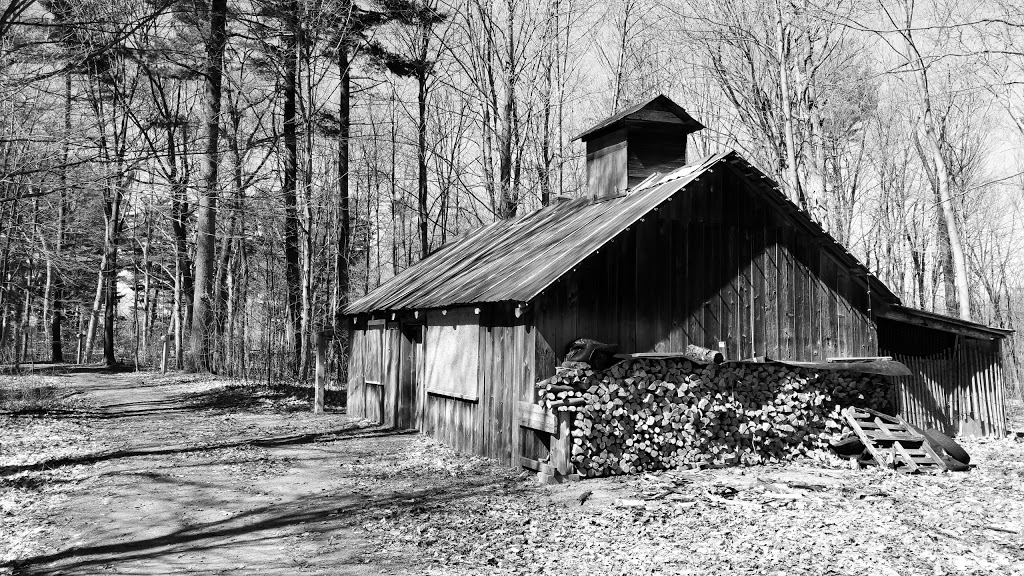 Parc écologique Godefroy | 17105 Boul Bécancour, Bécancour, QC G9H 1A3, Canada